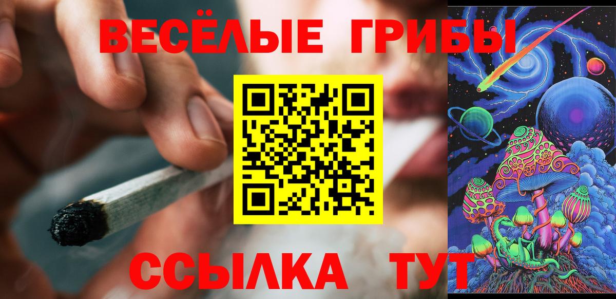 Псилоцибиновые грибы Кстово